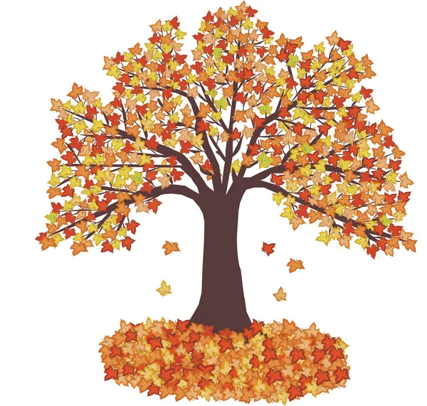 Herbstblätter Und Baum Vektorillustration — Stockvektor