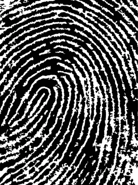 Black White Vector Fingerprint Crop Very Accurately Scanned Traced Vector — Stock Vector