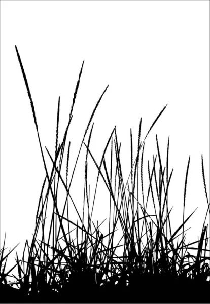 Gras Vektor Silhouette Ideal Für Ihren Einsatz — Stockvektor