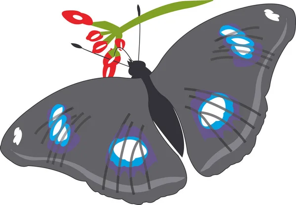 Motýl Srkající Nektar Květin Vektorová Ilustrace Formát Eps — Stockový vektor