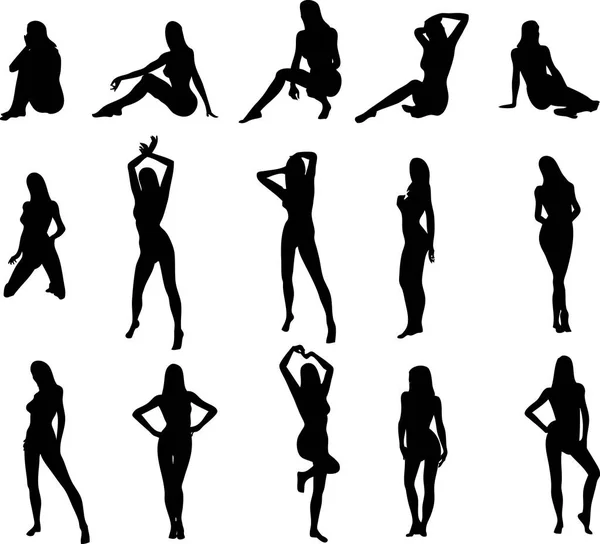Illustration Von Sexy Silhouetten Von Frauen — Stockvektor
