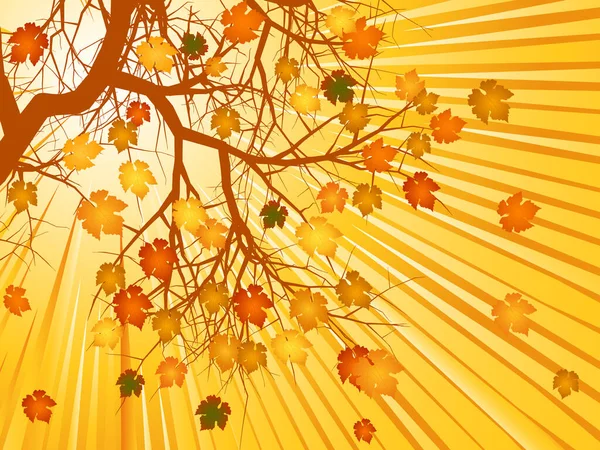Vektorillustration Des Baumes Mit Goldenen Herbstblättern — Stockvektor