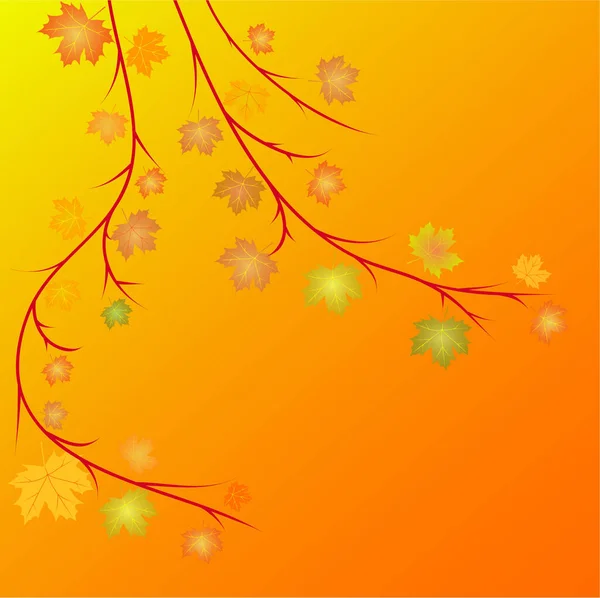 Herbst Vektor Illustration Bild Farbige Illustration — Stockvektor