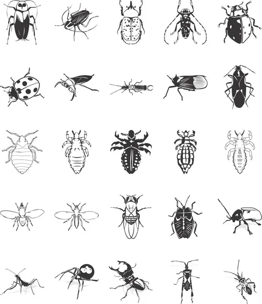 各种昆虫的20个平顺向量群图解 — 图库矢量图片