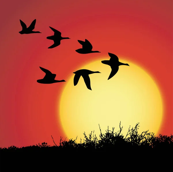 Lanskap Sunset Dengan Burung Siluet - Stok Vektor