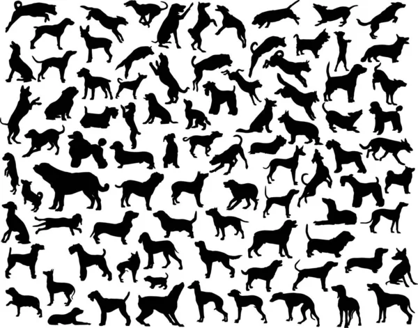 Колекція Векторних Силуетів Різних Порід Собак Позу — стоковий вектор