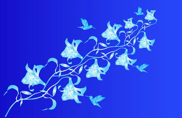 Квітковий Фон Синя Орхідея Вектор — стоковий вектор