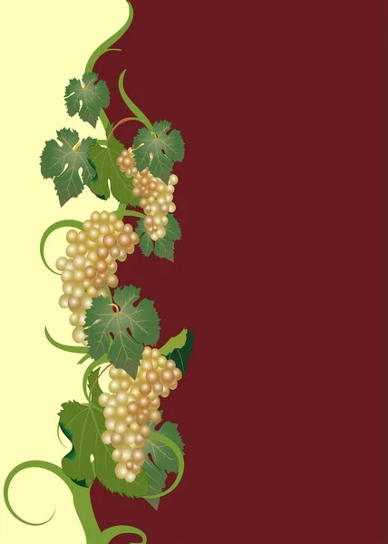 Üzüm Yapraklı Şarap Etiketi — Stok Vektör