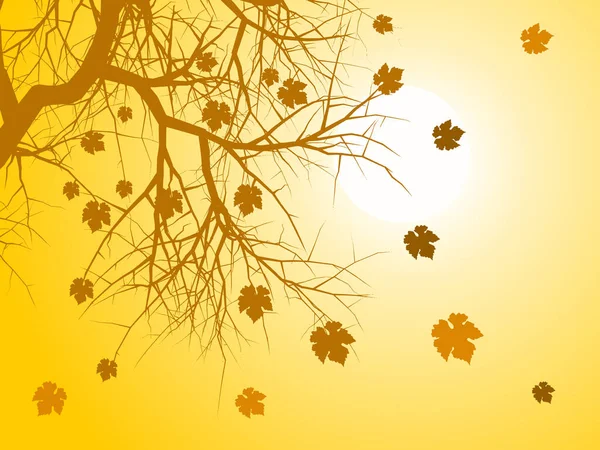 Fundo Sazonal Com Galhos Árvores Folhas Outono — Vetor de Stock