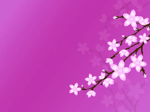 Image Fond Fleur Cerisier Illustration Couleur — Image vectorielle