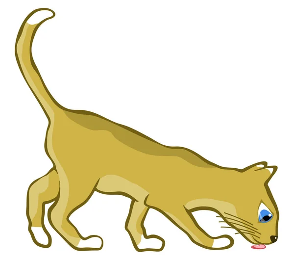 Redigerbara Vektor Illustration Ung Katt Slickar — Stock vektor