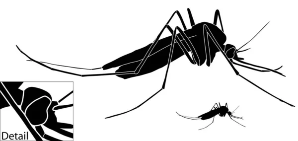 Ilustración Vectorial Mosquito Con Contorno Básico Incluido — Archivo Imágenes Vectoriales