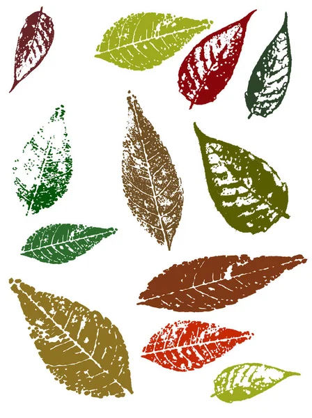 Grunge Elements Autumn Leaves Iii Highly Detailed Vector Grunge Elements — Stock Vector