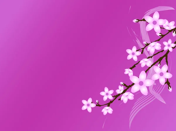 Цветение Сакуры Фоновое Изображение Цветная Иллюстрация — стоковый вектор
