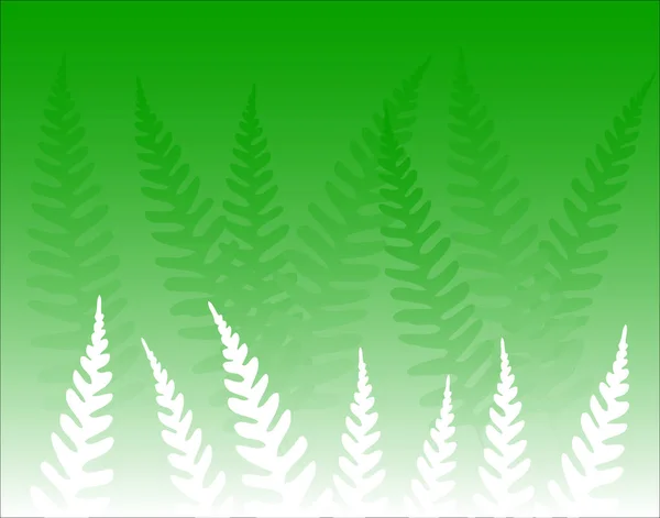 Vektorhintergrund Aus Grünen Farnblättern — Stockvektor