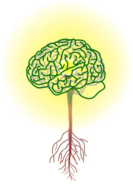 Vektorová Ilustrace Pro Mozkový Strom Uvnitř Jsou Žárovky Metafory — Stockový vektor