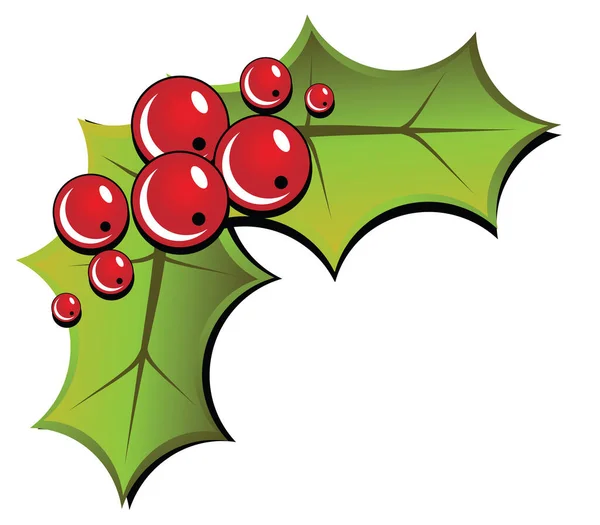 Karácsonyi Holly Elszigetelt Fehér Háttérrel Illusztráció — Stock Vector