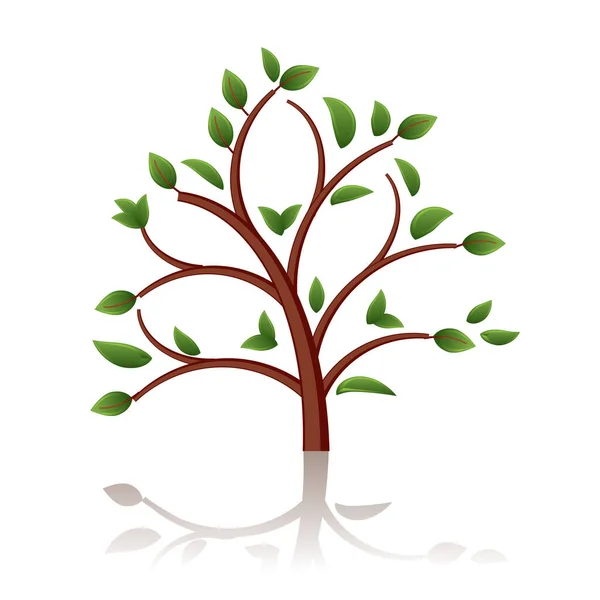 Árvore Bela Imagem Ilustração Cores — Vetor de Stock