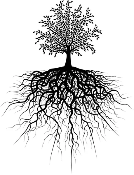 Ilustrație Vectorială Editabilă Unui Copac Rădăcinile Sale — Vector de stoc