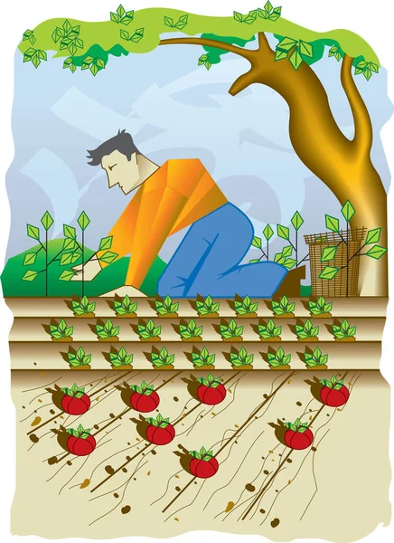 Jordbruk Bild Färg Illustration — Stock vektor