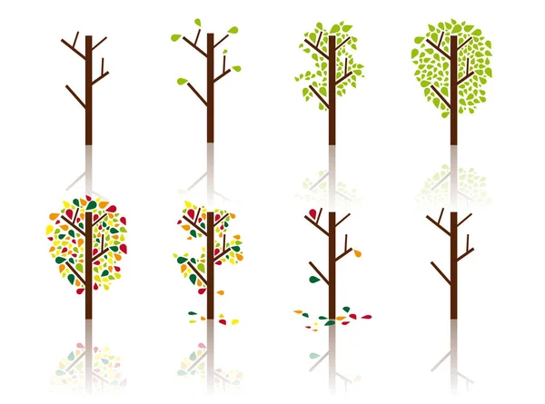 Baum Prozess Frühling Sommer Herbst Und Winter — Stockvektor