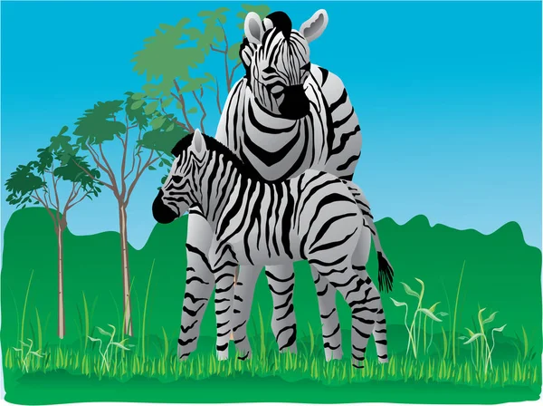 Illustration Eines Wilden Zebras — Stockvektor