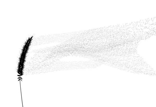 Editable Vector Illustration Grass Flower Drifting Pollen — Stock Vector