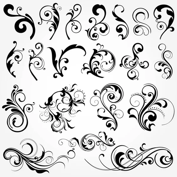 stock vector illustration drawing of floral design elements
