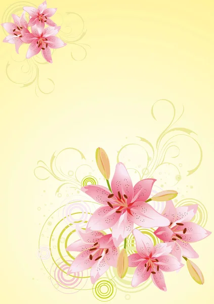 Lily Rosa Vektor Floralen Hintergrund — Stockvektor