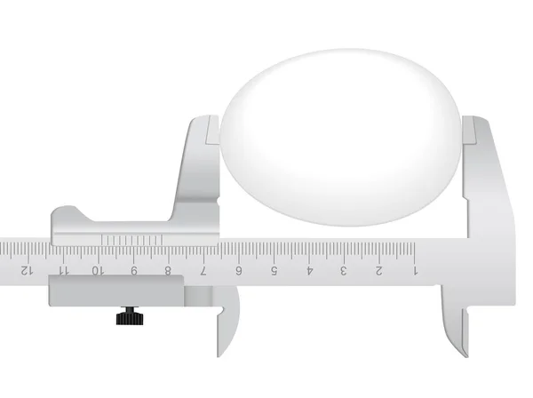Measuring Tool Egg White Backgroun — Stock Vector