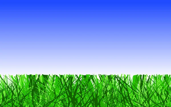 Editable Vector Illustration Cut Lawn — Stock Vector