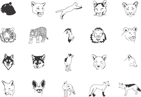 様々な捕食者の滑らかなベクトルEpsイラストのコレクション — ストックベクタ