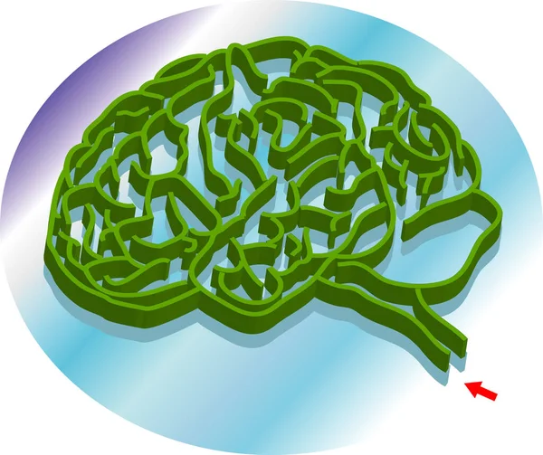 Vector Illustration Brain Shape Maze Metaphors — Stock Vector