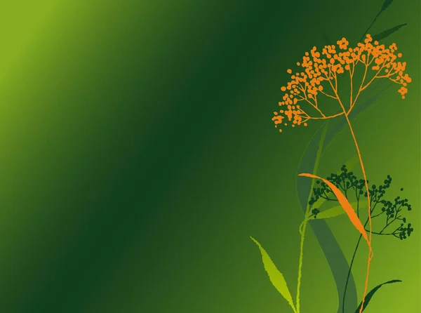 Floral Background Image Color Illustration — Stock Vector