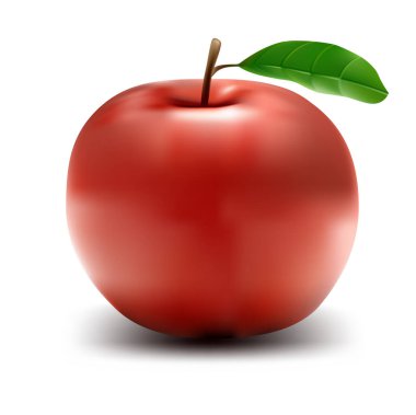 Gerçekçi elma - vektör illüstrasyonu