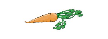 tek bir carrot çizimi