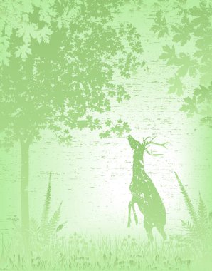 Sisli bir ormandaki bir geyiğin vektör çizimi