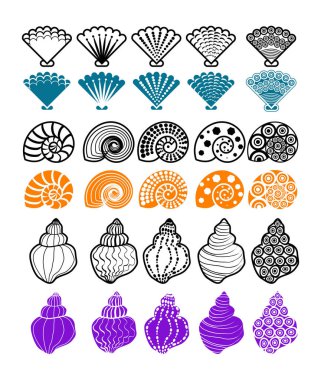 Kabuk desenli tasarım ögesi için vektör çizimi.