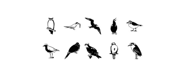 Zehn Glatte Vektor Cliparts Illustration Von Vögeln — Stockvektor