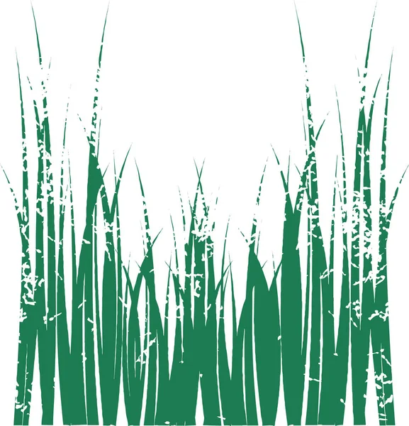 Vector Grass Image Color Illustration — Stock Vector