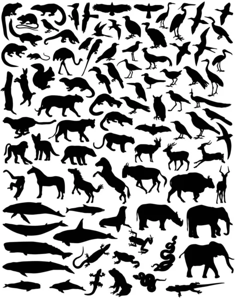 幅広い野生動物のシルエットのコレクション — ストックベクタ