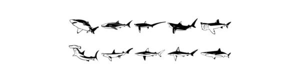 Coleção Ilustrações Eps Vetor Liso Vários Tubarões — Vetor de Stock
