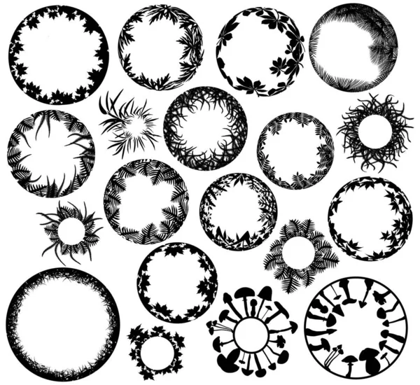 Colección Elementos Circulares Diseño Plantas — Vector de stock