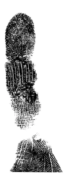Huella Dactilar Completa Imagen Vectorial Muy Detallada — Archivo Imágenes Vectoriales