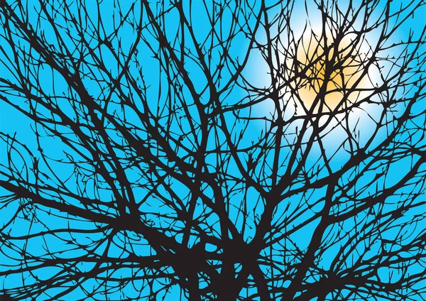 太陽がバック グラウンドでの木の枝のシルエット — Stockový vektor