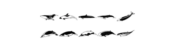 様々なサメの滑らかなベクトルEpsイラストのコレクション — ストックベクタ