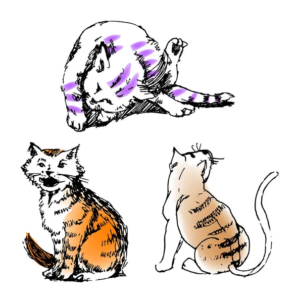 Uno Schizzo Illustrazione Vettoriale Una Visione Variegata Gatti Animali Domestici — Vettoriale Stock