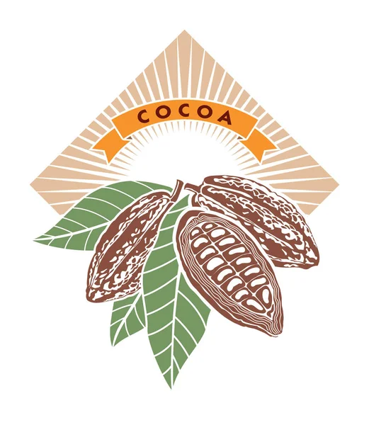 Kakaobohnen Mit Grünen Blättern — Stockvektor