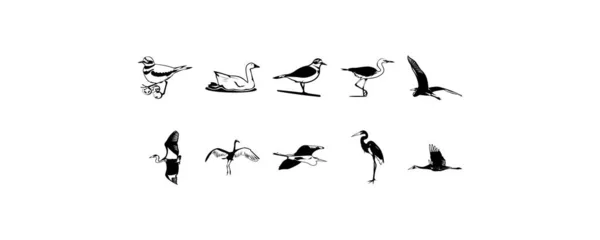 Diversen Vogels Vector Clipart Set — Stockvector