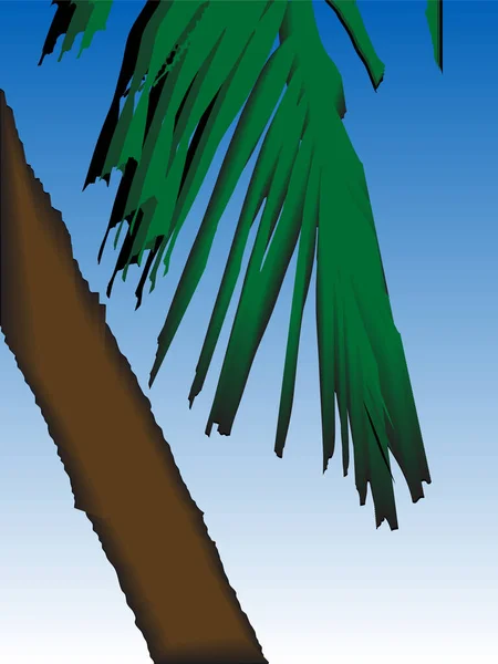 Vektor För Ett Palmträd — Stock vektor